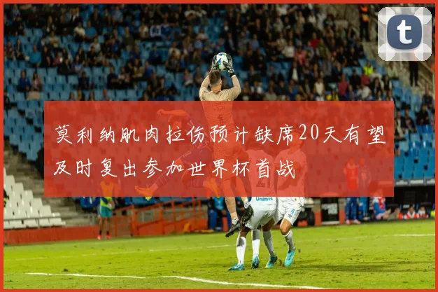 莫利纳肌肉拉伤预计缺席20天有望及时复出参加世界杯首战