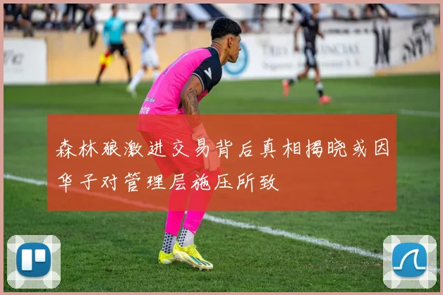 森林狼激进交易背后真相揭晓或因华子对管理层施压所致
